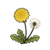 Dandelions.gif